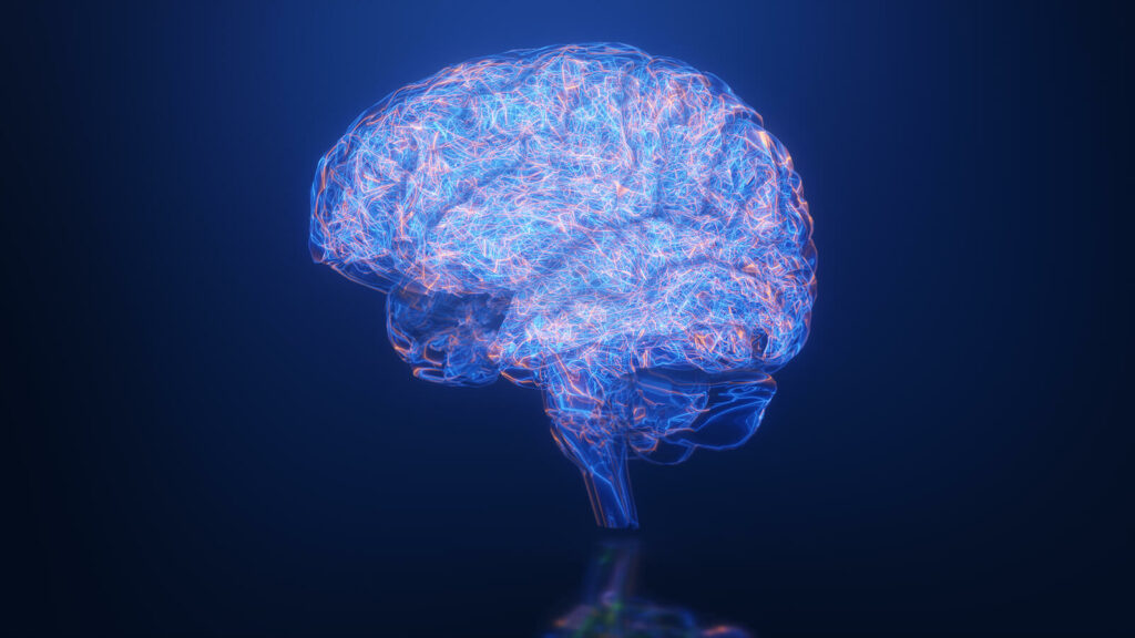 3D render of a digital brain. Are you dealing with ADHD and haven't found the best way to manage your symptoms? With ADHD focused therapy in NYC you can begin to manage your symptoms in a healthy way. Learn more here. 