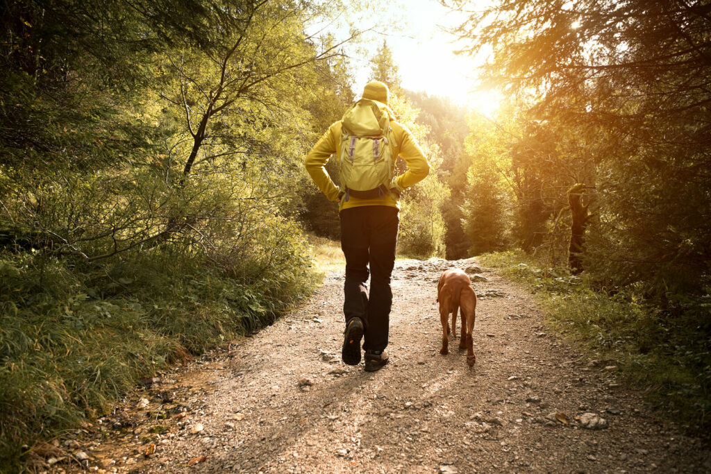 A person walks down a forest path with their dog at their side. Learn how ADHD focused therapy in NYC can support you in gaining peace of mind. Contact an ADHD therapist in New York, NY to learn more.
